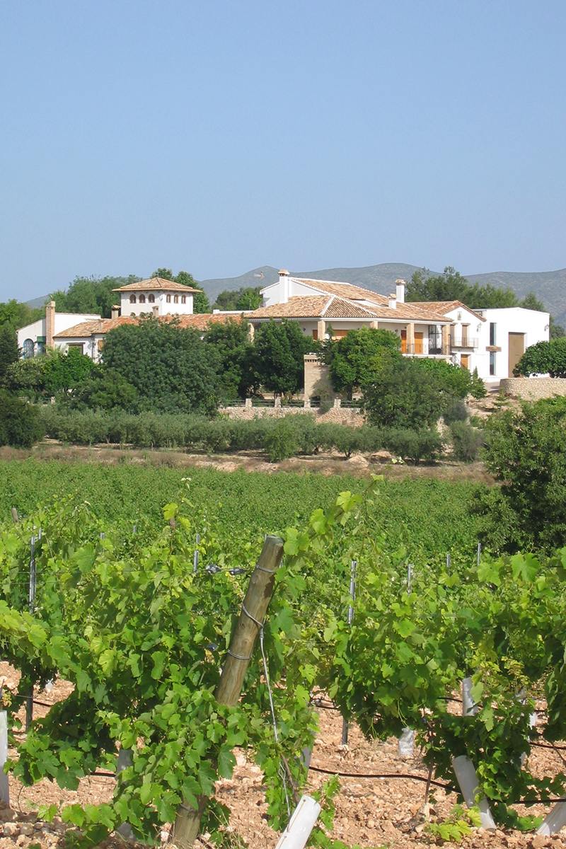 La Casa De Las Vides