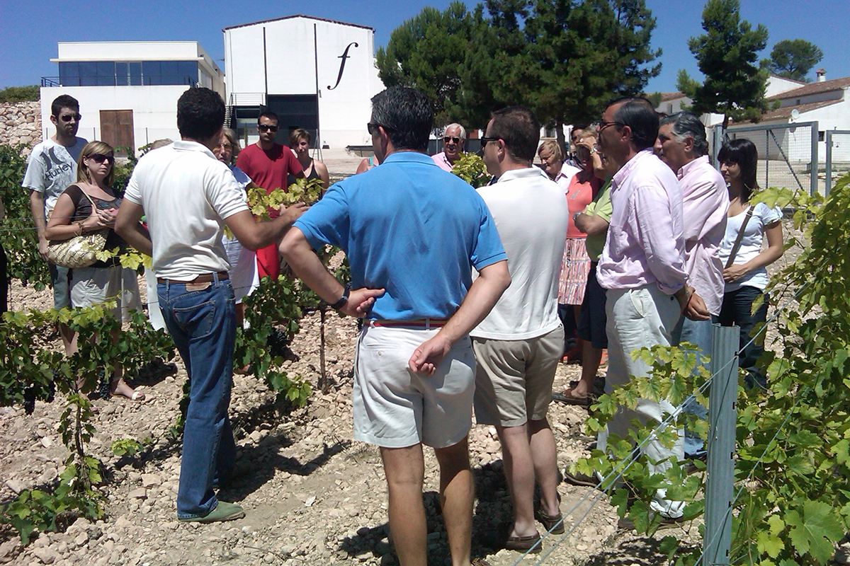 Visita viñedo y cata de elaboración s. XVIII Casa los Frailes