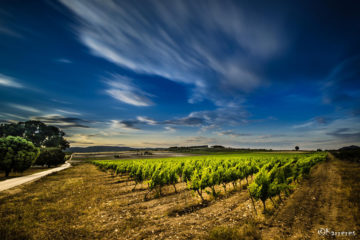 Bodegas Arráez