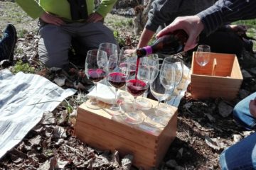 Birds&Wines Mariola – Alforins