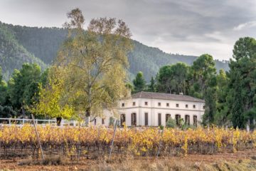 Pack Experiencia Bodegas Los Pinos