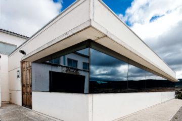 Visita a Viñedo y Cata de vinos de Origen