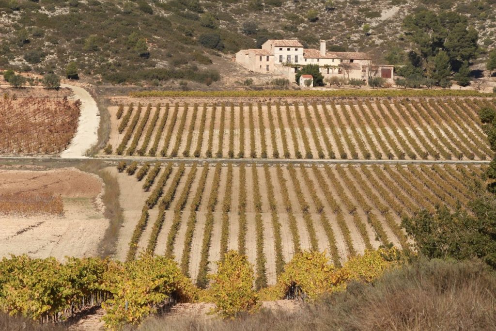 Planes familiares en Valencia Ruta del Vino