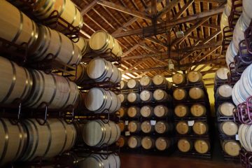 Descubre Bodega La Viña