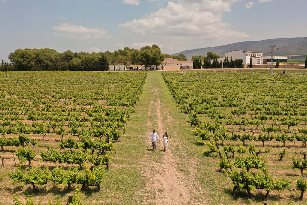 ‘Llénate de emociones’ con la Federación de Enoturismo de la Comunidad Valenciana