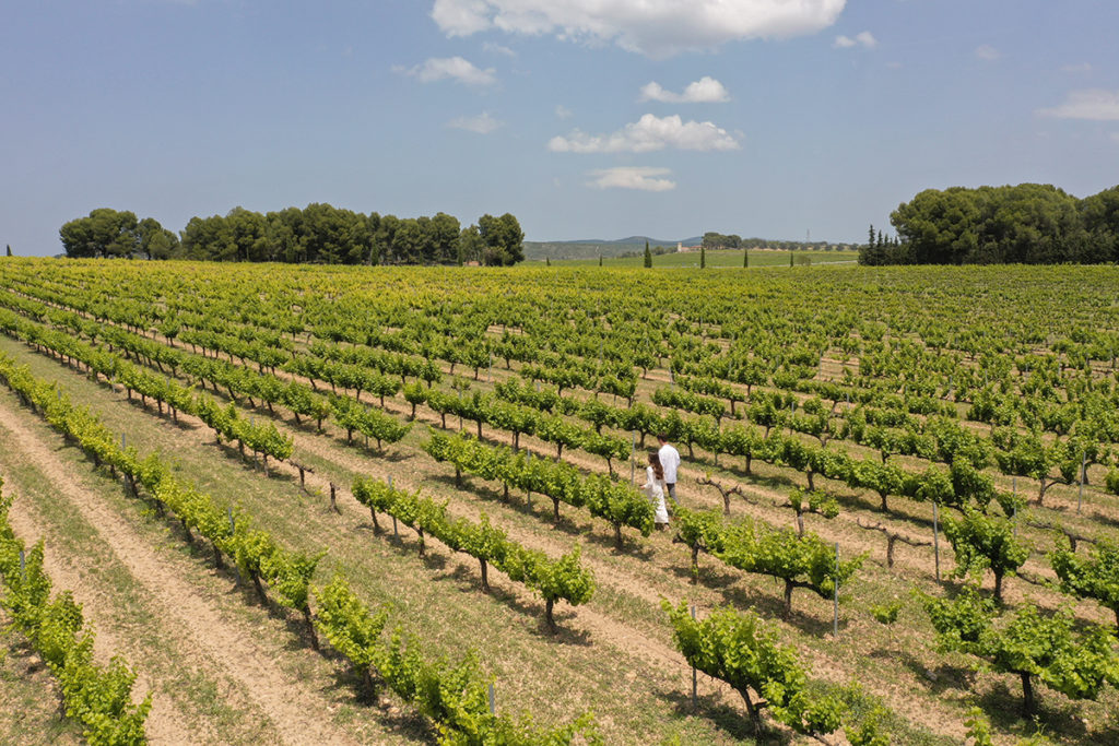 ¿Aún no tienes plan para esta Semana Santa? Vívela de la mano de Valencia Ruta del Vino