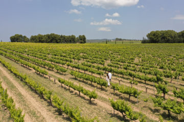 ¿Aún no tienes plan para esta Semana Santa? Vívela de la mano de Valencia Ruta del Vino